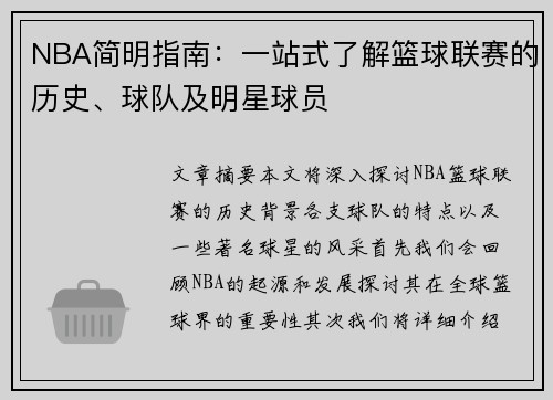 NBA简明指南：一站式了解篮球联赛的历史、球队及明星球员